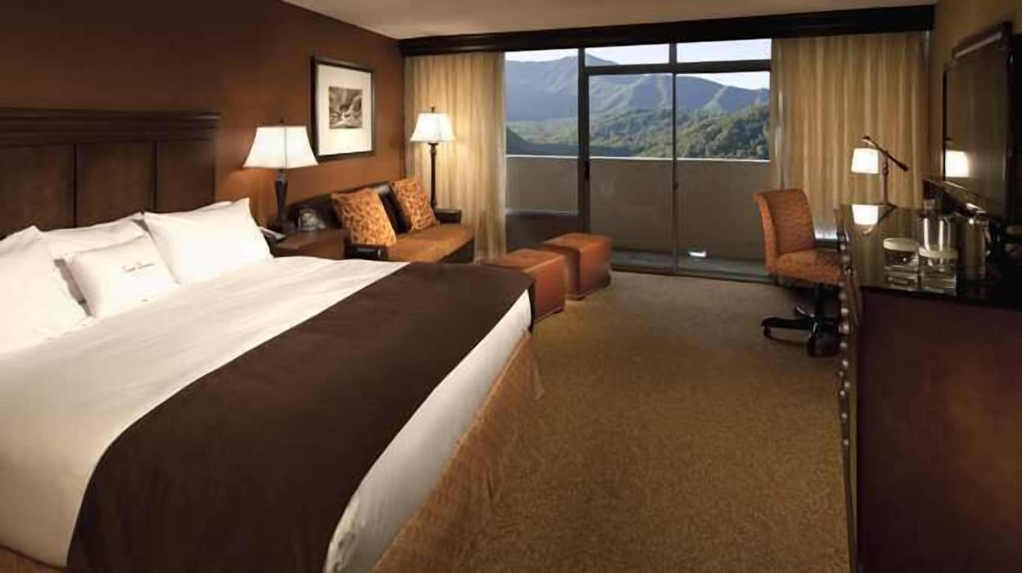 The Park Vista - A Doubletree By Hilton Hotel - Gatlinburg Eksteriør bilde