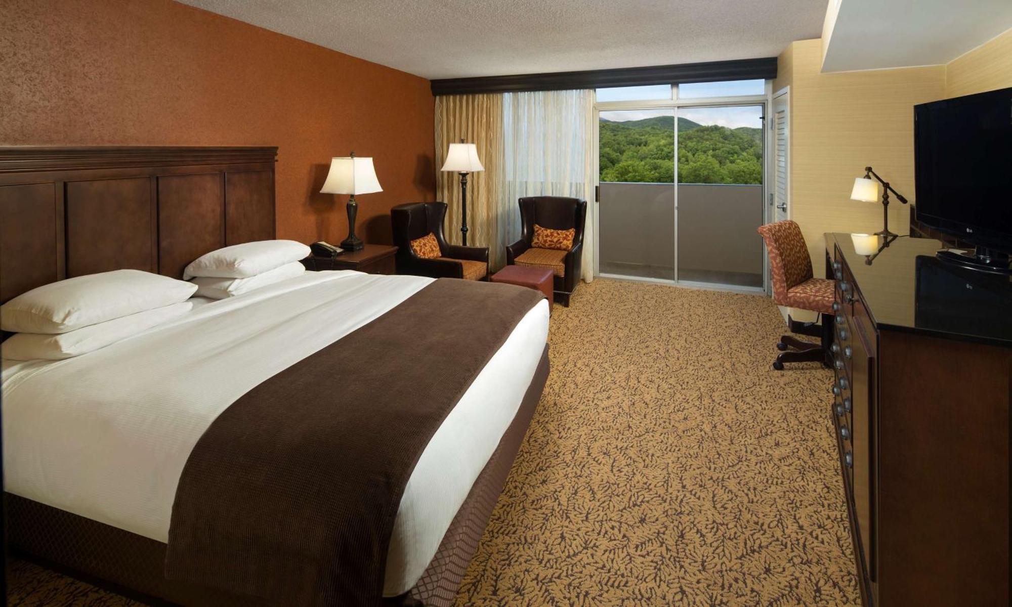 The Park Vista - A Doubletree By Hilton Hotel - Gatlinburg Eksteriør bilde